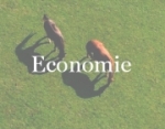 economie_0