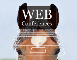 webconference-theme-cheval